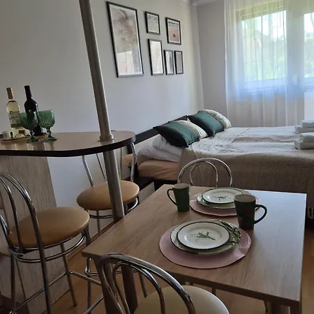 Apartment Parkowy *
